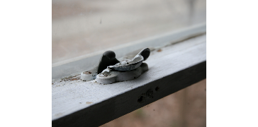 A bird sitting on a ledge.