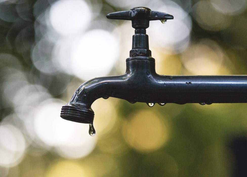 A water droplet on a leaf.