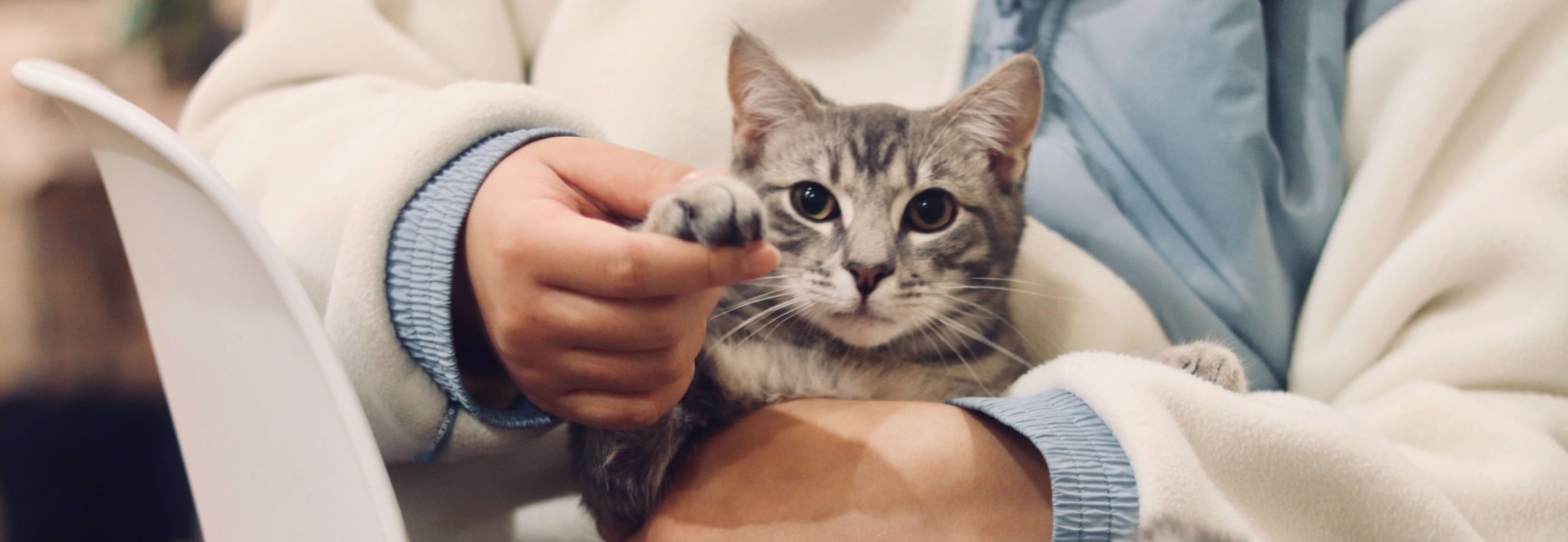 A person holding a cat.