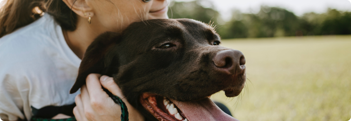 A person holding a dog.