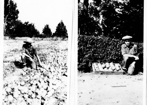 ناريي يد بفر