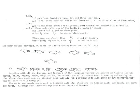 Old instructions on how to earmark sheep