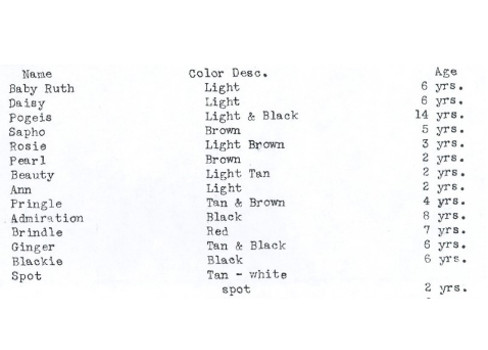 List of mortgaged cow names, colors, and ages