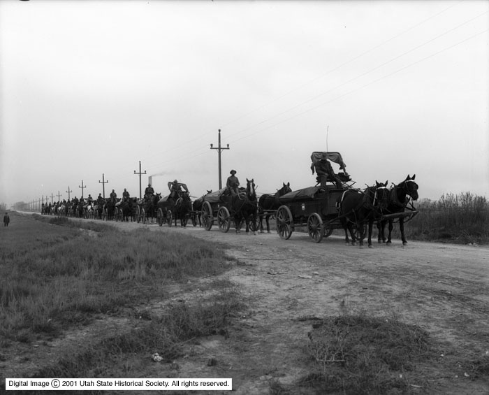 A group of horses pulling a carriage.