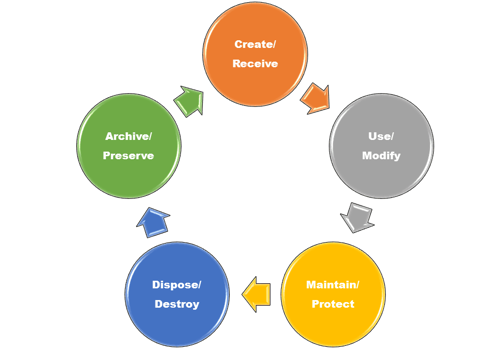 Create/ Receive Archive/ Preserve Dispose/ Destroy Use/ Modify Maintain/ Protect