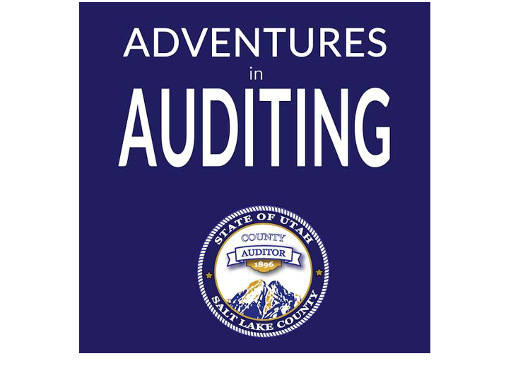 ADVENTURES in AUDITING