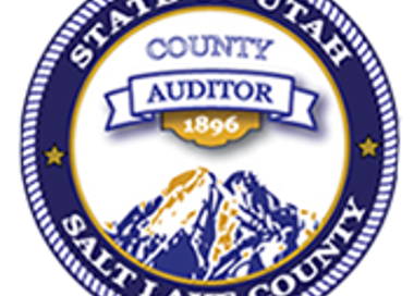 Auditor Logo