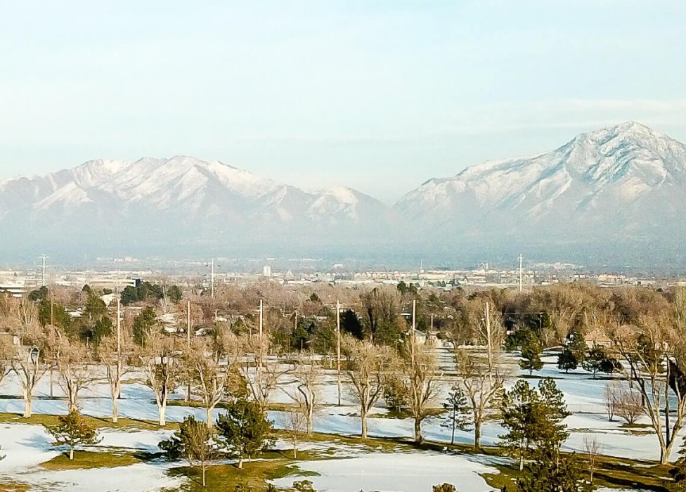 A landscape with snow and trees.
