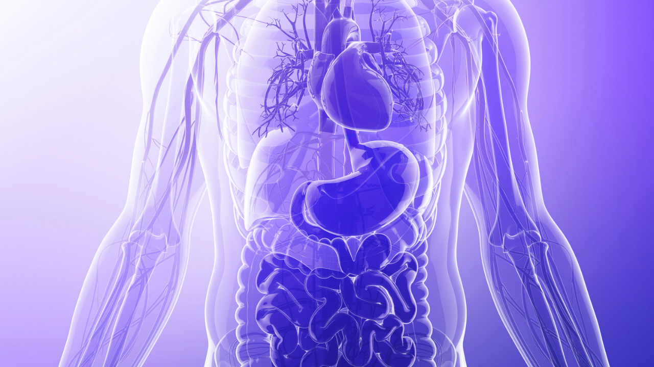 A close-up of a human body.