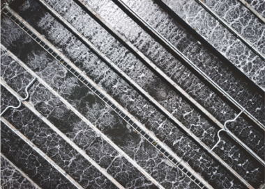 A close-up of a chain link fence.