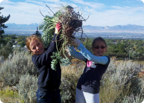 A couple of women holding a string of grass.