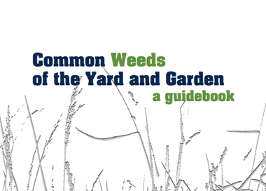Common Weeds of the Yak and Garden a gu'debook fix /