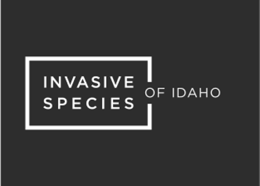 INVASIVE OF IDAHO SPECIES