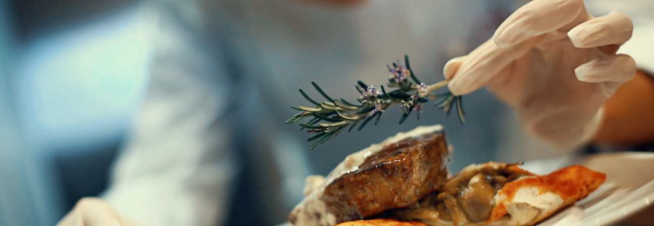 A person holding a small plant.