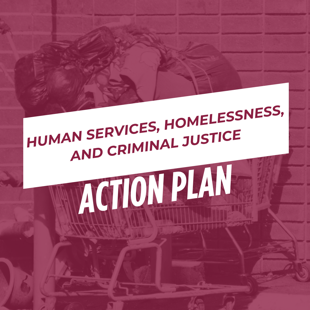 HUMAN SERVICES, HOMELESSNESS, AND CRIMINAL JUSTICE PUN