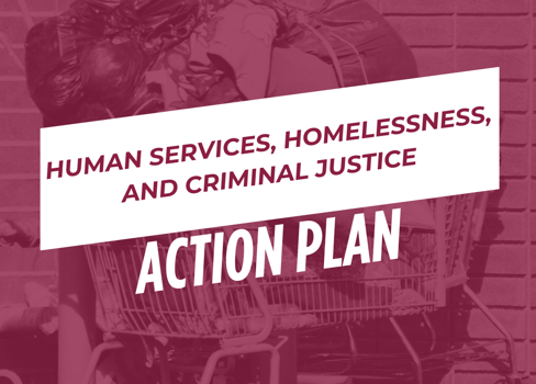 HUMAN SERVICES, HOMELESSNESS, AND CRIMINAL JUSTICE PUN