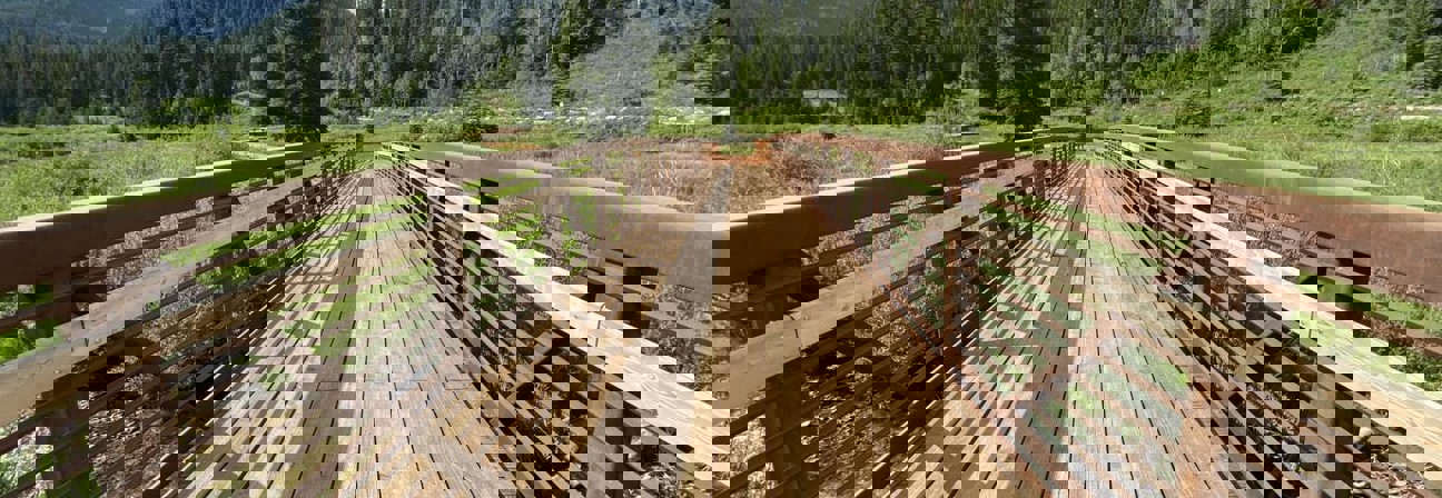 A wooden bridge over a river.