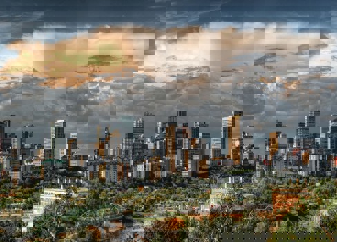 A city with a bridge and trees.