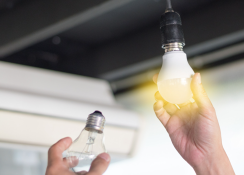 A person holding a light bulb.