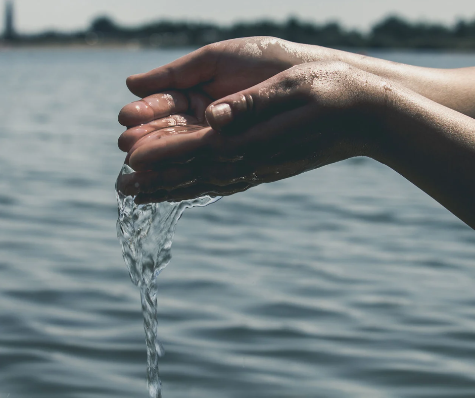 A person's hand holding a large fish in the water.