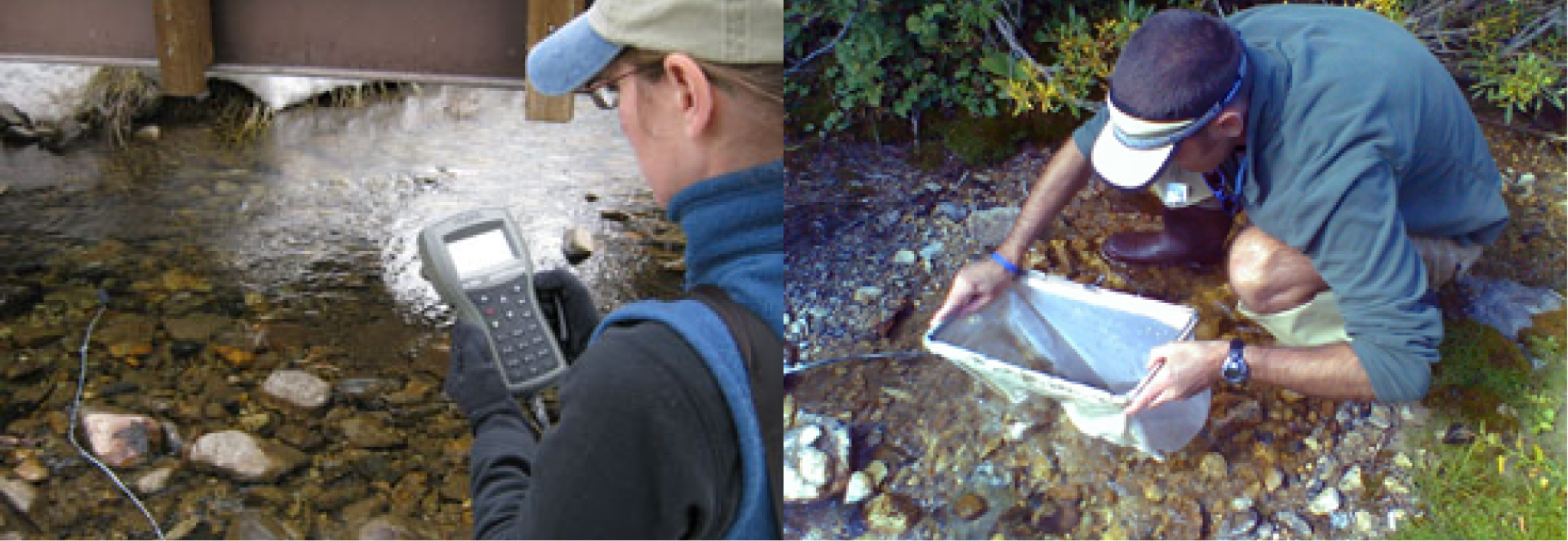 Men looking at a tablet.