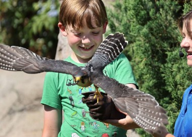 A person holding a bird.