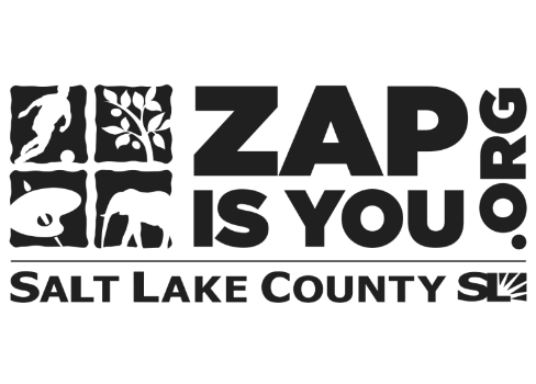 ZAP& YOUQ ALT LAK NT Y