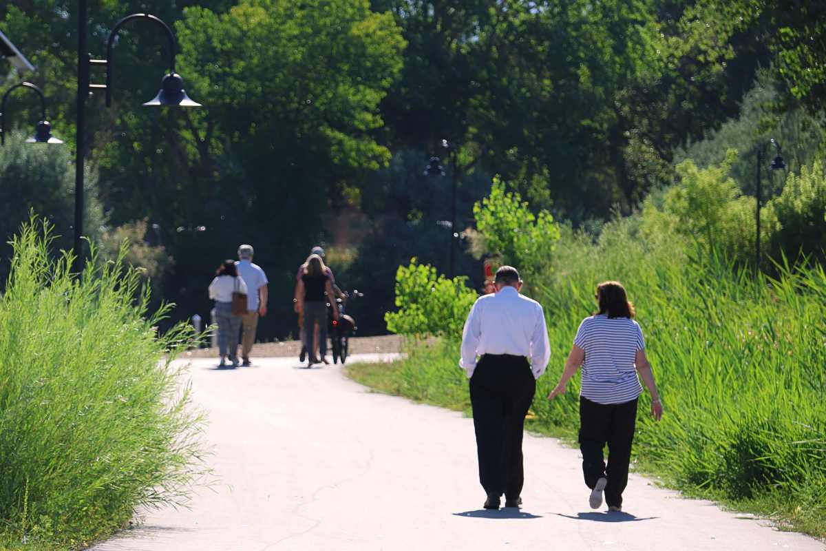 A group of people walking on a path in a park.