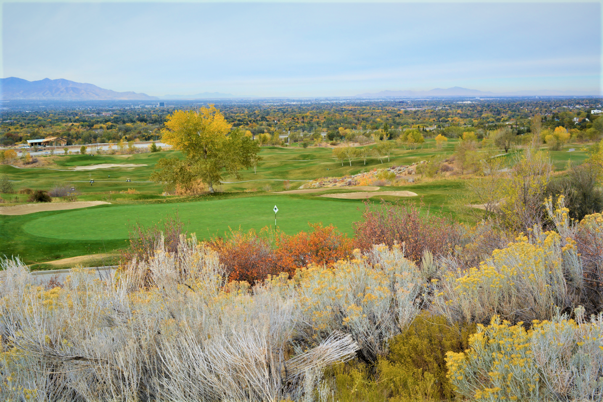 A golf course with trees and grass.