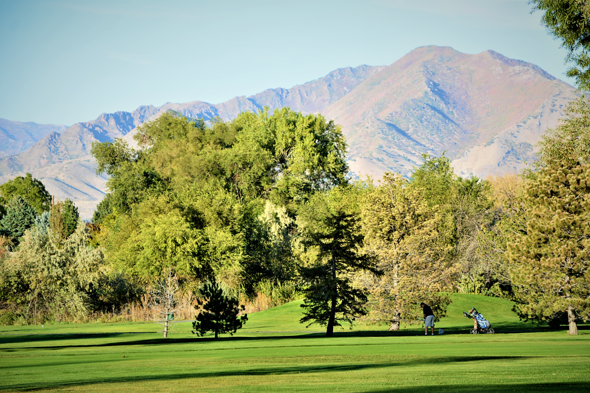 A group of people playing golf.