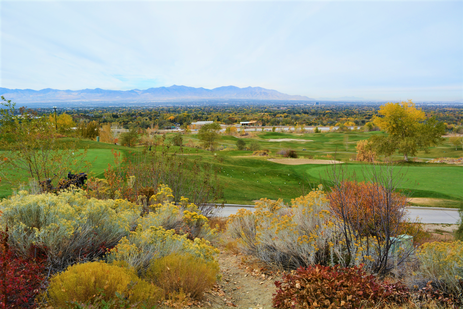 A golf course with trees and grass