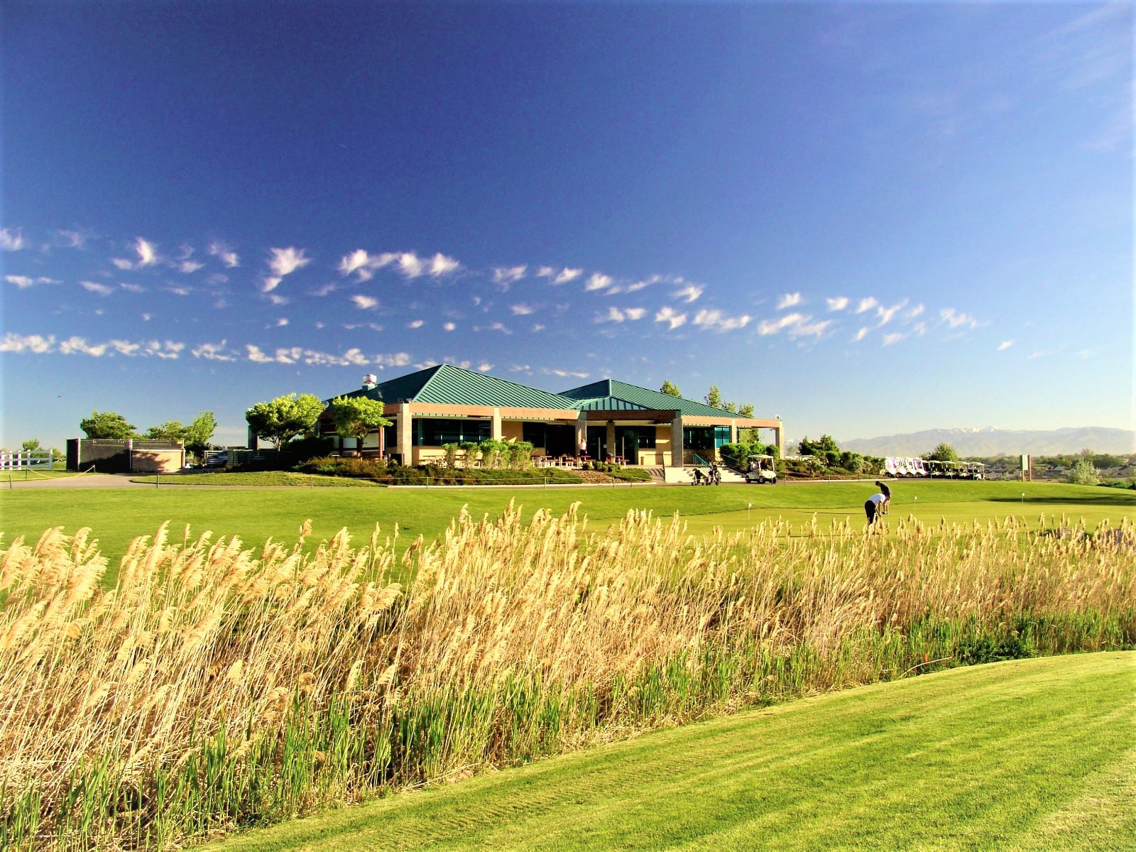 A person walking in a field.
