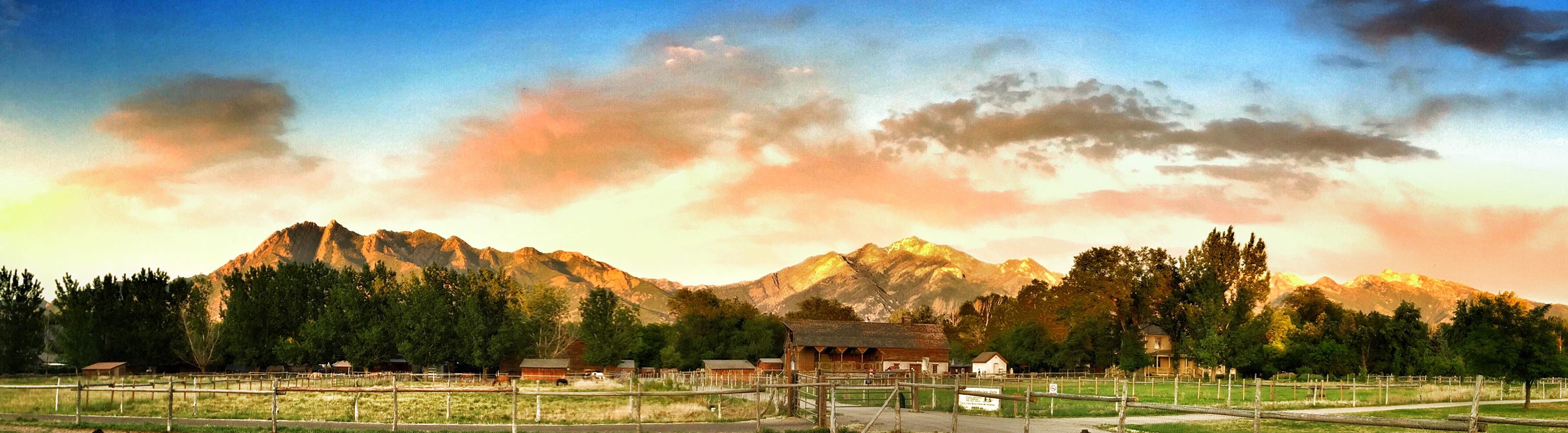 A landscape with trees and mountains in the background.